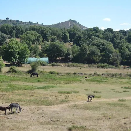 Le Riviera 2* Алата