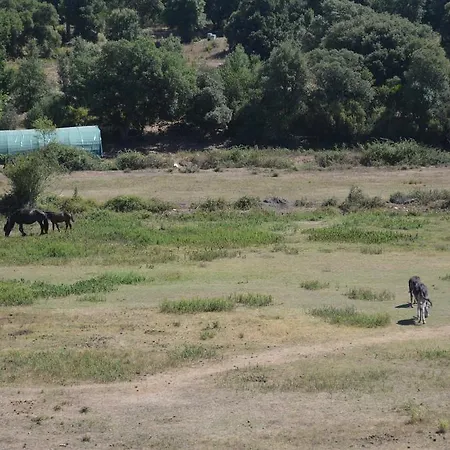 Le Riviera Hotel Alata