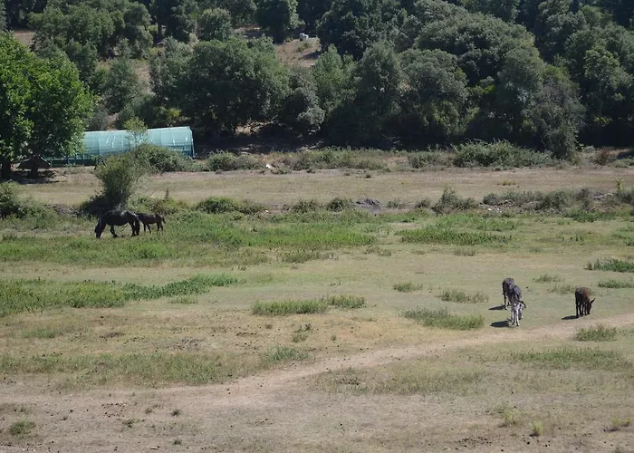 Le Riviera Hotel Alata